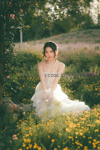 花海中的新娘，阳光洒落温柔如诗