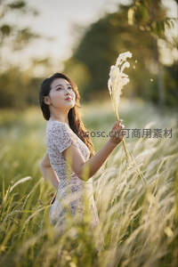 侧身仰望天空的花田少女