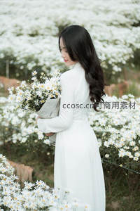 白裙女子背影置身雏菊花海