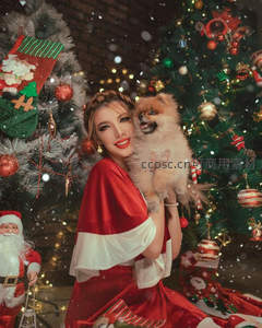 圣诞佳节温馨时刻，红裙美女怀抱萌宠