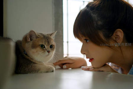 人与宠物的温柔对视