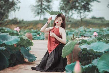 荷塘边持荷叶的优雅女子