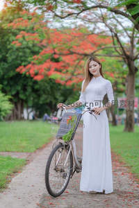 白裙佳人推车漫步，落英缤纷小径旁