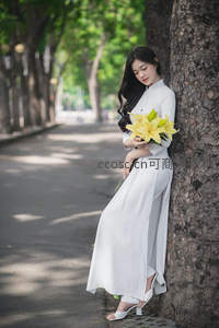 树下白裙少女怀抱黄百合静思