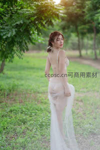 绿野仙踪中的薄纱倩影