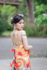 彩裙女子背影含情，稻穗轻摇