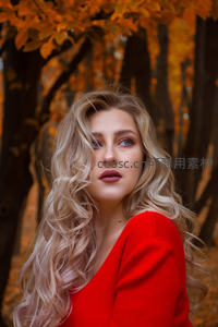 秋林红衣卷发美人写真