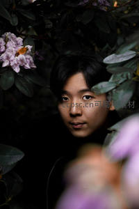 花丛中若隐若现的神秘眼神