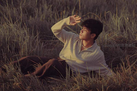 夕阳下草地中的悠闲时光