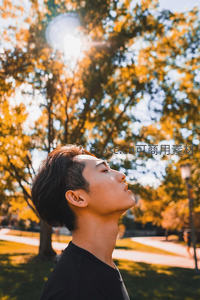 秋日公园仰望阳光