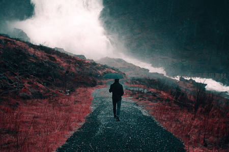 雨中孤影撑伞行于荒野小径