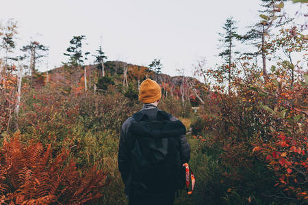 秋日林间徒步探险之旅