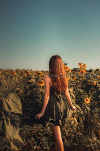 向日葵花海中的少女背影
