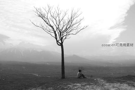 孤树下黑白世界的沉思者