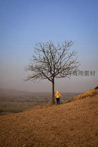 孤树之下，黄衣人静立山丘远眺