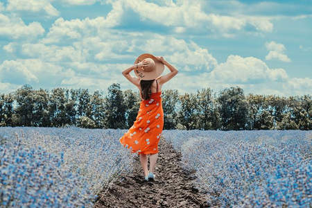 橙裙少女漫步蓝色花海仰望云天