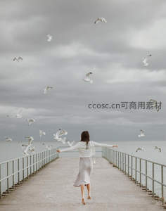 白衣女子奔向海鸥飞舞的栈桥