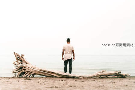 海边独思，男子伫立枯木前望向海天