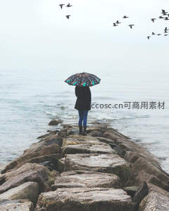 雨中石堤上的孤独身影