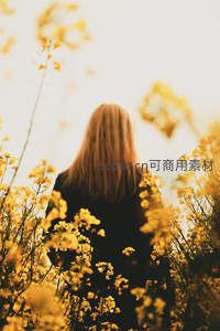 金黄花海中的背影少女