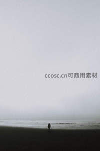 雾霭海岸孤独漫步者