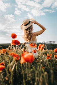 阳光下花田里的优雅身影