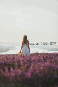 紫花田中背影少女远眺河景