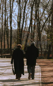 老夫妇手牵手漫步林间小径