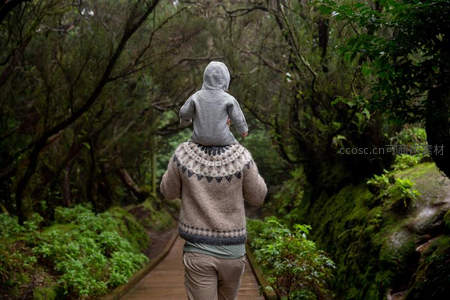 父亲肩驮幼童漫步森林栈道