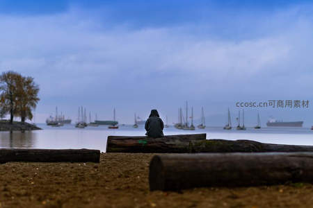 海边木桩上，静观帆影点点