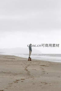 沙滩木桩上伫立的远眺者身影