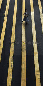 黄线斑马上独行的优雅身影