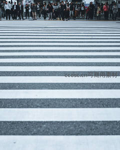 斑马线上的都市人群