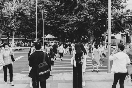 黑白影像中人群穿行于树荫斑马线