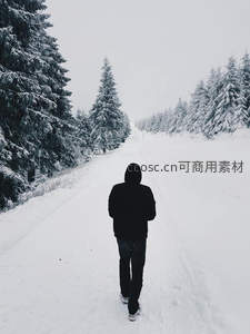 雪林小径上独行的黑色身影
