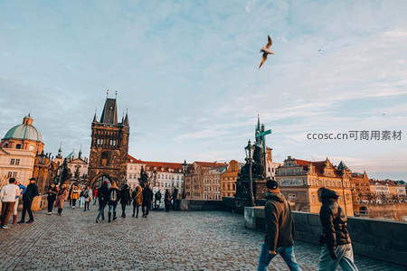 黄昏时分的查理大桥，游人如织，海鸥翱翔