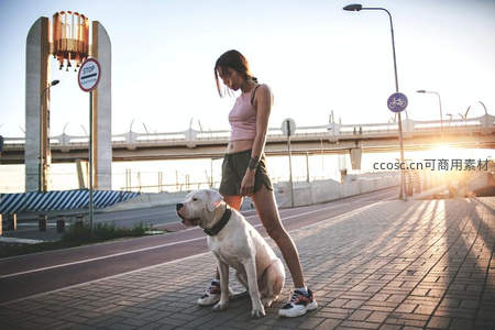 夕阳下女子与爱犬相伴