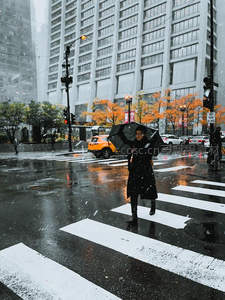 雨中都市行人撑伞过马路
