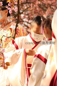 樱花树下孩童着汉服，春日古风亲子时光