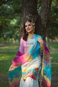 树下倚靠的彩虹纱丽印度美女