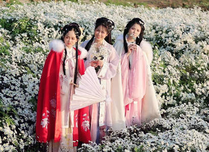 三位汉服少女花海中笑靥如花
