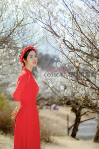 红裙少女立于梅花树下