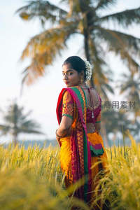 椰影稻田中回眸的印度新娘