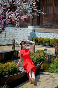 红裙少女坐小舟赏樱花