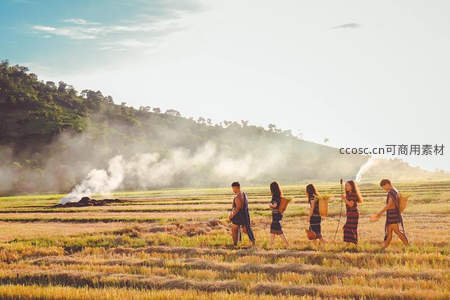 夕阳下稻田劳作归来的身影