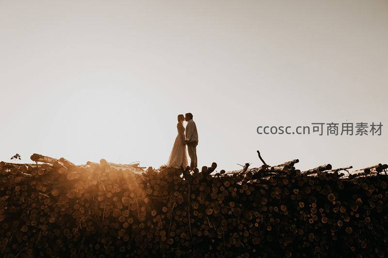 夕阳下新人依偎木堆之巅，剪影浪漫