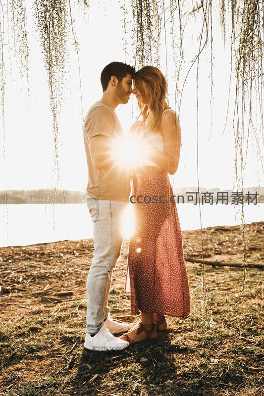 柳树下情侣沐浴夕阳