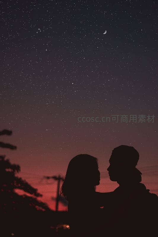 星空月夜下恋人剪影浪漫相依
