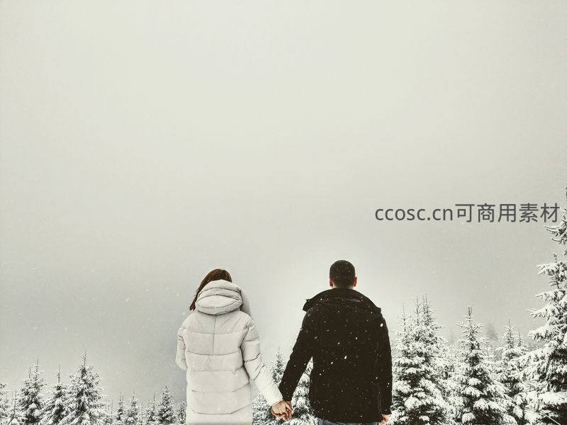 雪中牵手远眺，静谧相伴