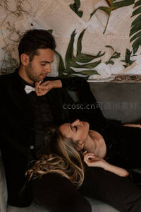 优雅情侣沙发依偎，绿植书香相伴